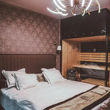 Luxurious Apartment, Center Of Katowice, Nospr, Spodek, Mdk Exteriér fotografie